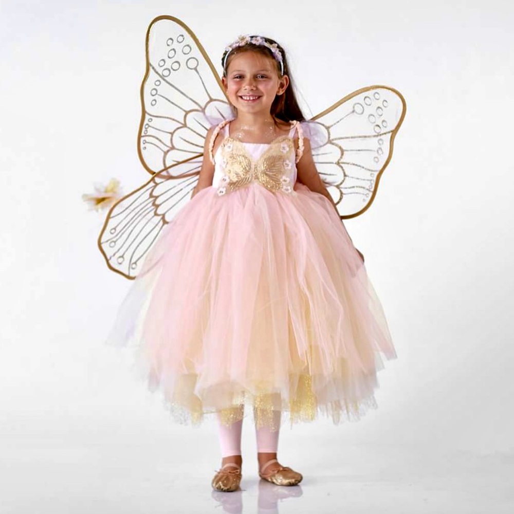 Pottery Barn Gold and Pink Butterfly Fairy Dress 3T